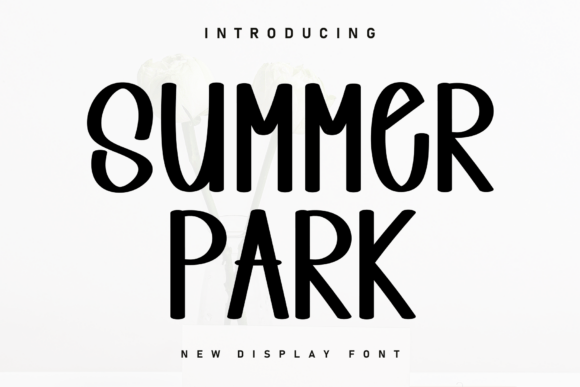 Summer Park Font Review